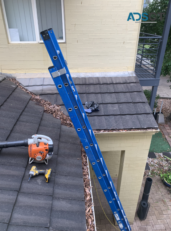 Choose an Ideal Local Gutter Cleaners in Sydney