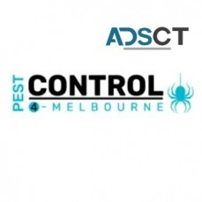 Termite Inspection Melbourne