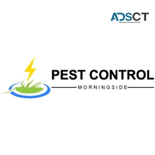 Pest Control Morningside