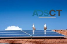 Pigeon Proofing Solar Panels