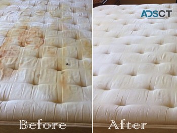 Best Mattress Cleaning in  Amaroo-Capita