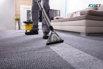 Top Carpet Cleaning Melbourne