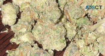 Top shelf medical marijuana for patients