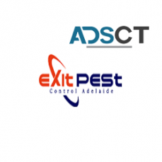 Exit Termite Control Adelaide