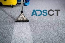 Carpet Steam Clean Brisbane