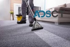 Carpet Steam Clean Brisbane