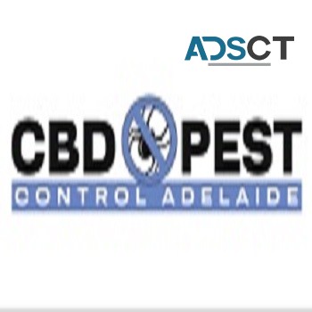 CBD Ant Control Adelaide