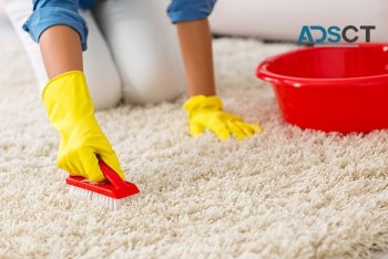 Good Job Carpet Cleaning Adelaide