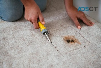 Good Job Carpet Repair Sydney