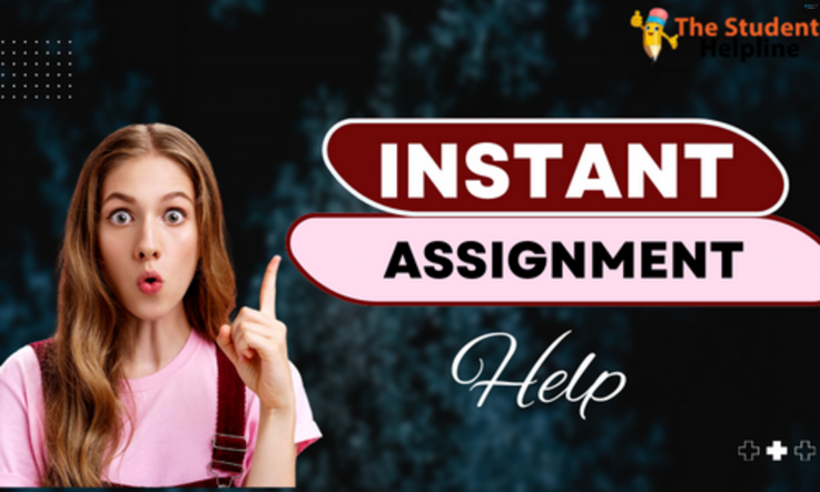 Are You Looking for Instant Assignment   (70% 0ff)