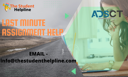 Are You Looking for Instant Assignment   (70% 0ff)