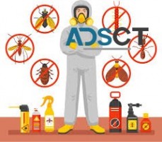 Pest Removal Hobart