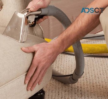 Upholstery Cleaning Adelaide