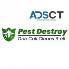 Pest Destroy Termite Control Adelaide