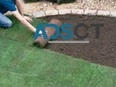 Ace landscapes and turfs