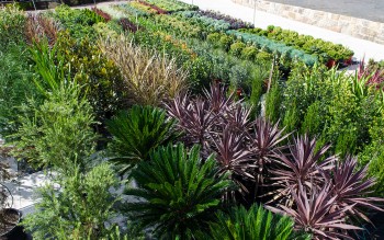 Exotic Nurseries & Landscaping Pty Ltd