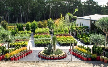 Exotic Nurseries & Landscaping Pty Ltd