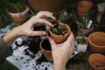 Botanical Nursery