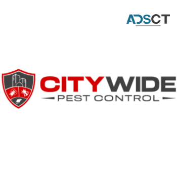 City Wide Cockroach Control Sydney