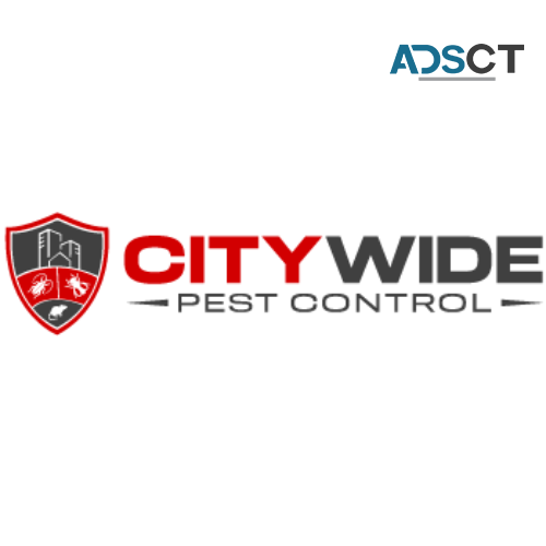 City Wide Cockroach Control Sydney