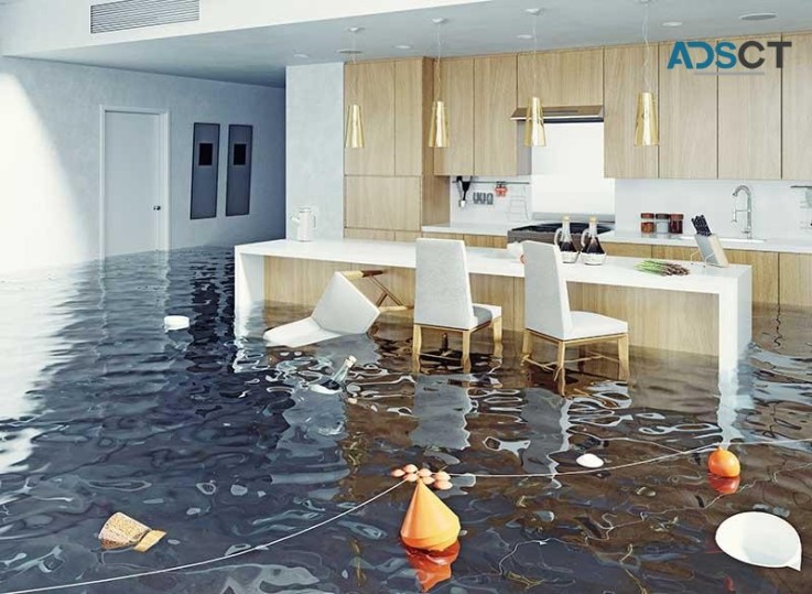 Ability Flood Damage Restoration Perth