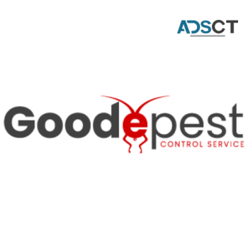 Goode Rodent Control Brisbane