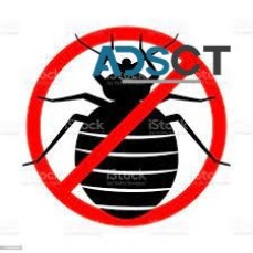 Flatline Pest Control - Bugs Control Central Coast