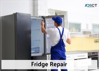 Fridge repair services