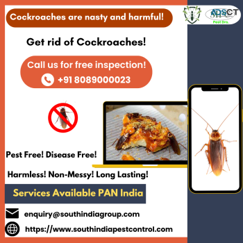 Cockroach Control in Kochi