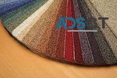 711 Carpet Cleaning Sydney