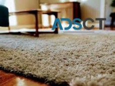 711 Carpet Cleaning Sydney