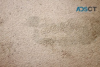 711 Carpet Cleaning Sydney