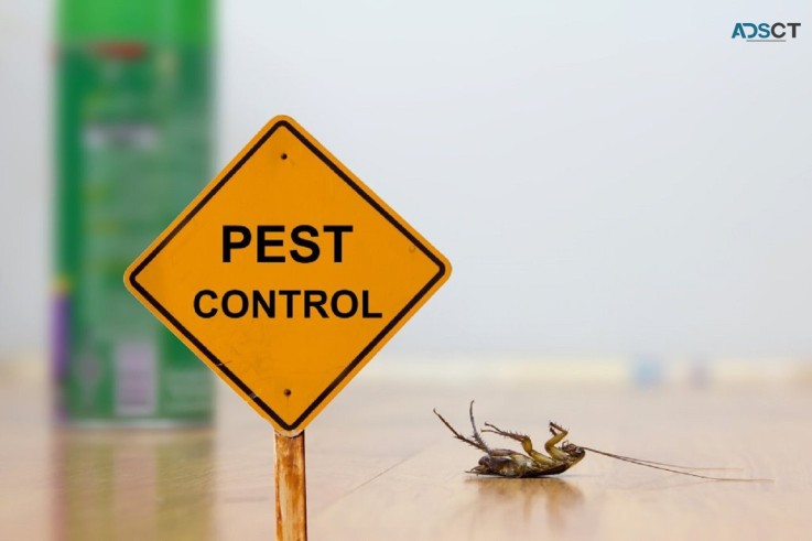 Frontline Pest Control Adelaide