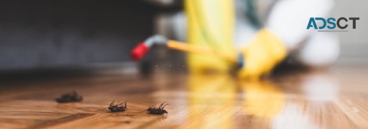 Frontline Pest Control Melbourne