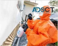 GreenerWay Asbestos Removal