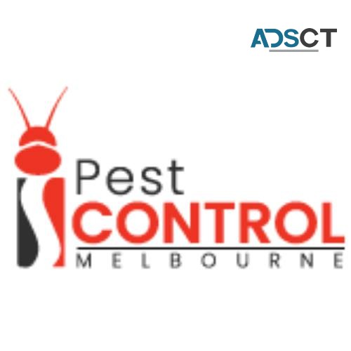 I Possum Removal Melbourne