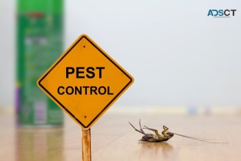 OZ Pest Control Sydney