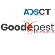 Goode Wasp Removal Sydney