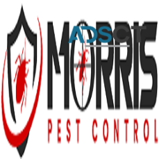 Morris Possum Removal Perth