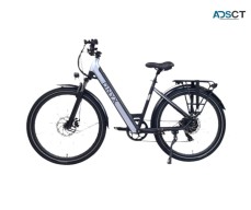 Onyx E-Bike