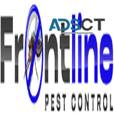 Frontline Wasp Removal Brisbane