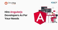  Hire AngularJS Developers