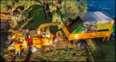 Pete's Treeworx - Tree Services