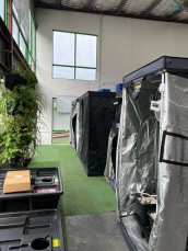 Hydroponic Grow Tent Gosford - Nutriflo Hydroponic Systems