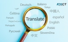 Do You Need To Get the Document Translated? - The Migration Translators