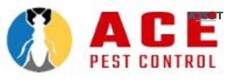 Professional Moth Control In Brisbane  