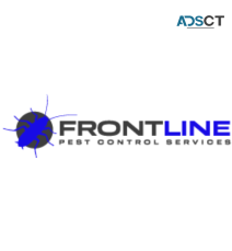 Front Line Spider Control Melbourne