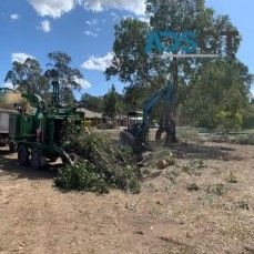 Wood Chipping Logan | Tree Pruning Logan