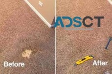 CBD Carpet Repair Hobart