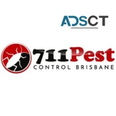 711 Bed Bugs Control Brisbane